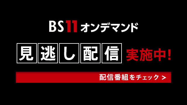 BS11