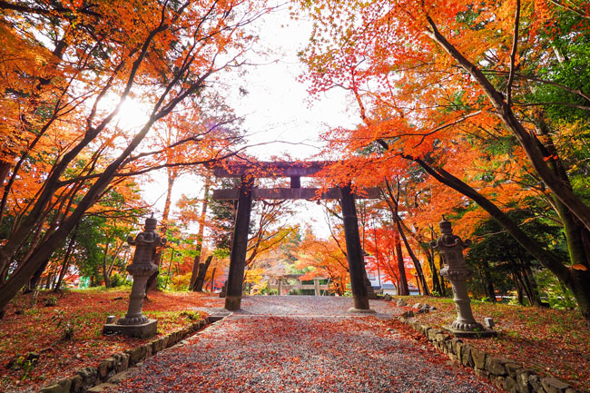 大原野神社