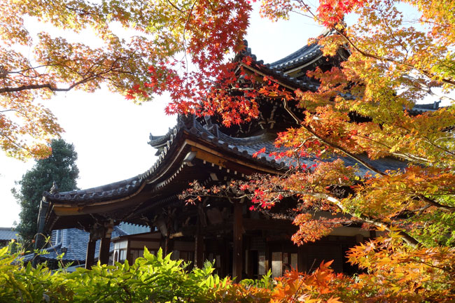 今熊野観音寺