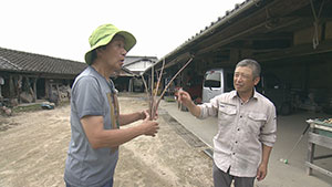 前川清の笑顔まんてん タビ好キ