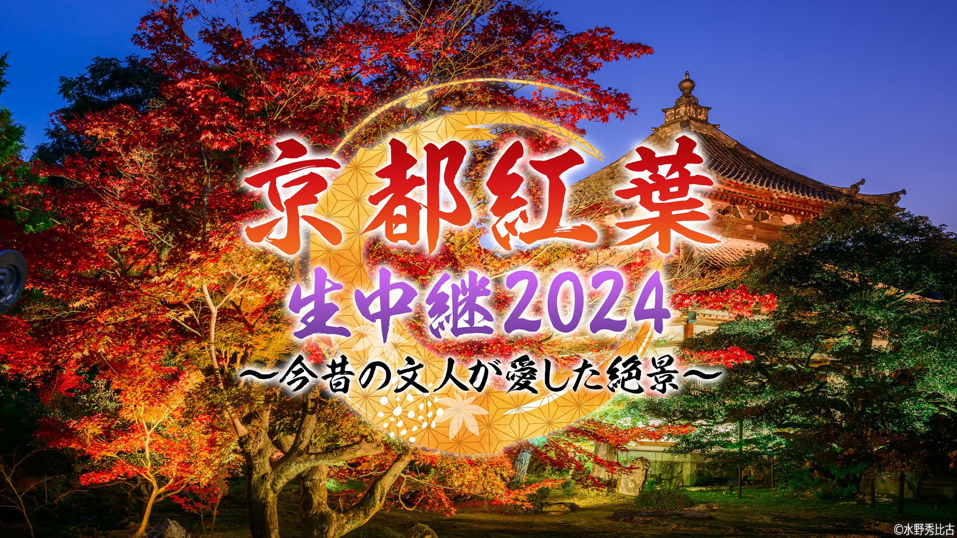 京都の秋、今ここに。紅葉の絢爛をお家で体感！『京都紅葉生中継2024～今昔の文人が愛した絶景～』11月27日（水）よる7時00分放送！